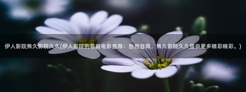 伊人热视屏网站