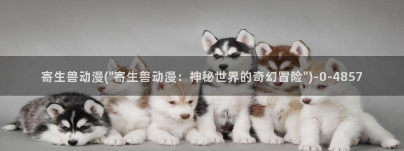 柑橘味香气动漫