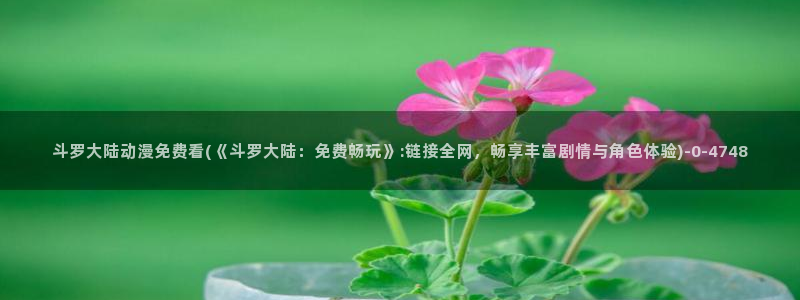 触手动漫
