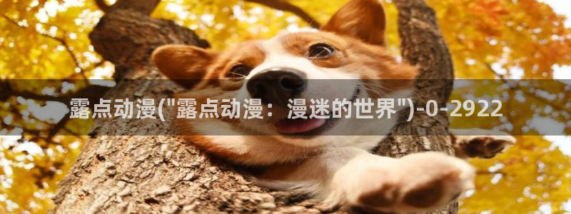 日本动漫网站