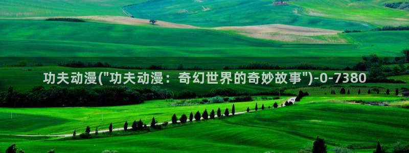 布米米动漫：功夫动漫(\