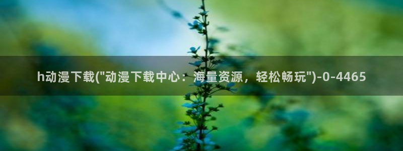 动漫节