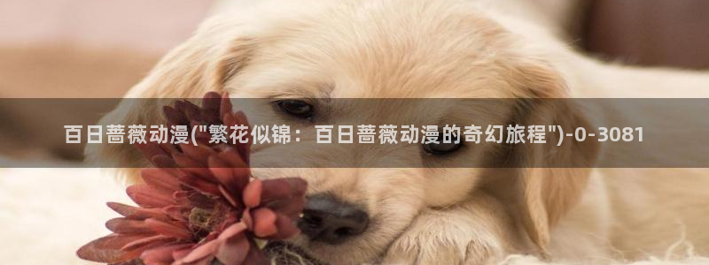 58动漫网